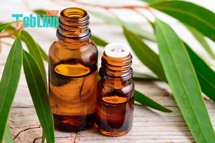 روغن اکالیپتوس برای آرتروز زانو